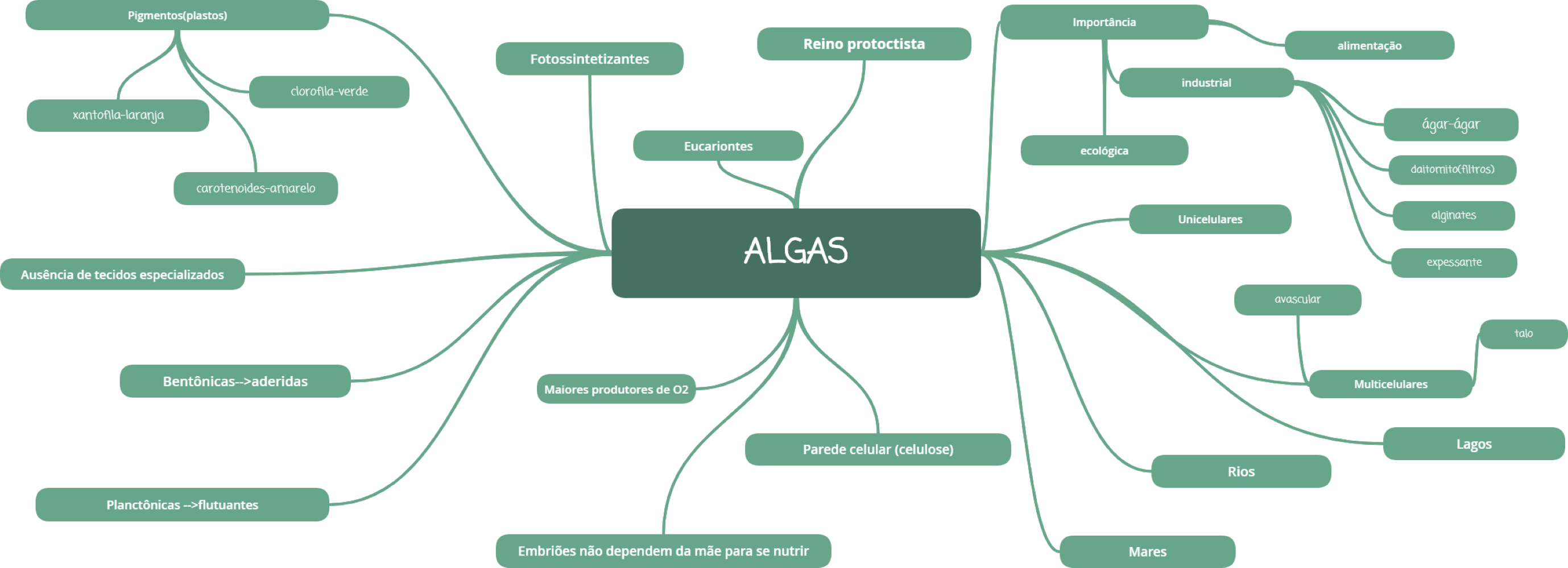 Mapa Mental sobre Algas - Biologia
