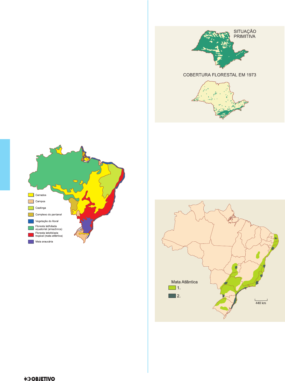 observe os mapas￼: nessa atividade o aluno localizará a vegetação