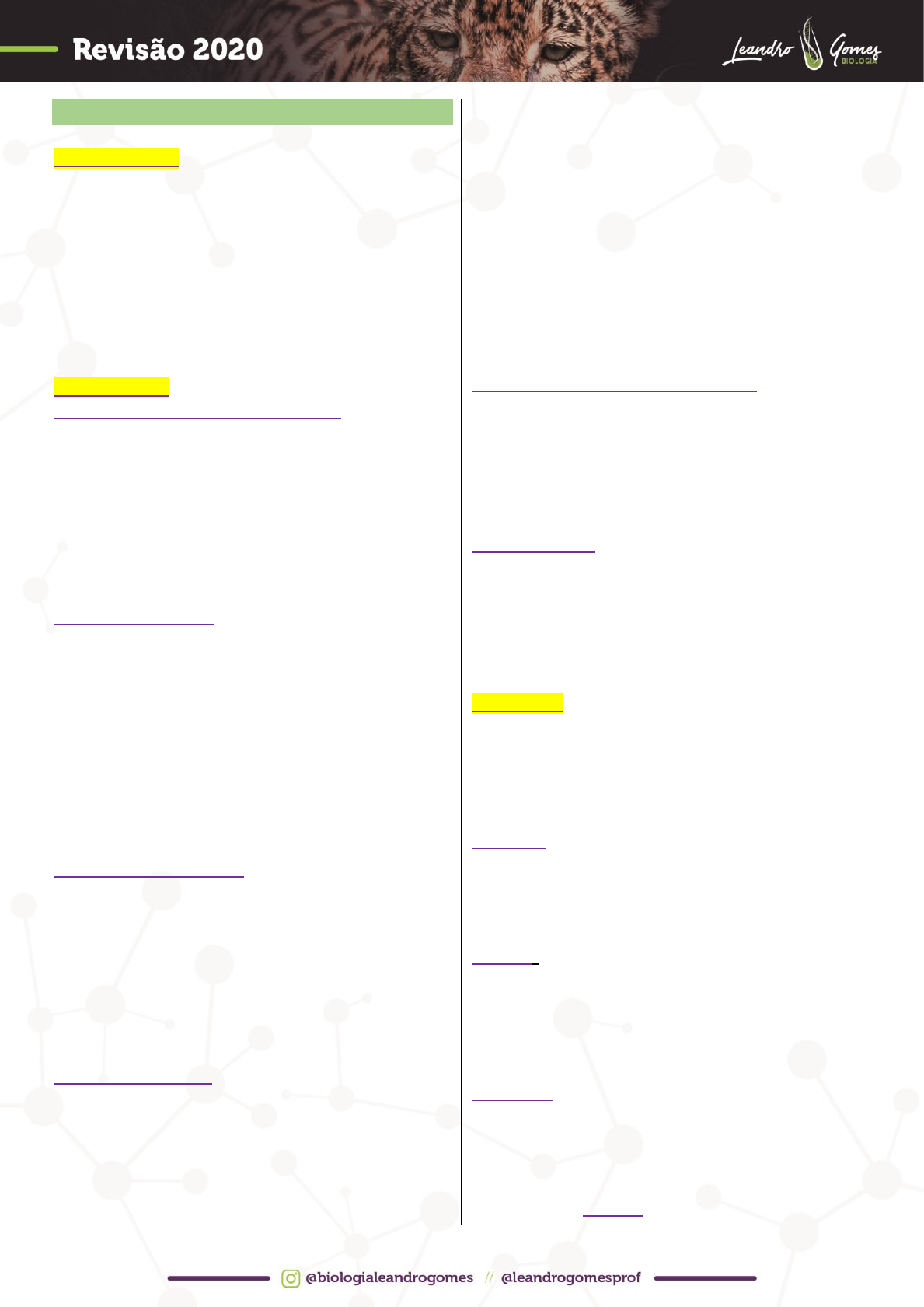 Lavoisier - Realize o teste de paternidade por DNA com a