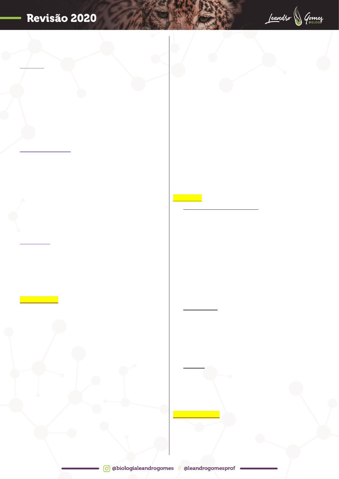 Lavoisier - Realize o teste de paternidade por DNA com a