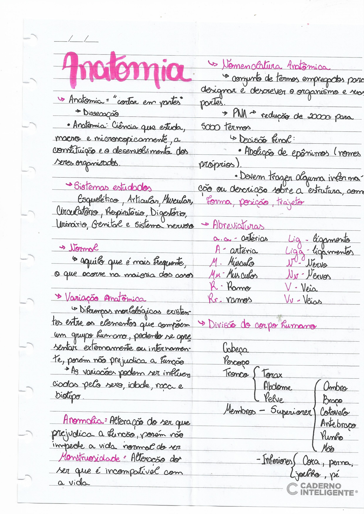 Introdução A Anatomia - Anatomia Humana I