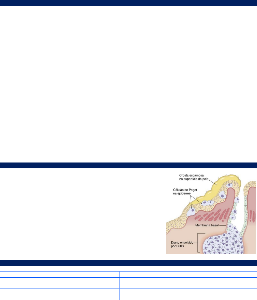 Vestibular Papillomatosis vs. HPV | Vestibular Papillomatosis | Everlywell, image size:1047x1224