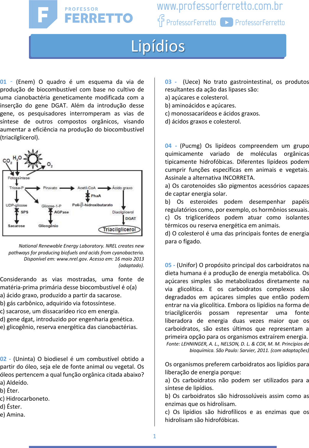Exercicios Lipidios E Carboidratos Pdf Gratis - Infoupdate.org
