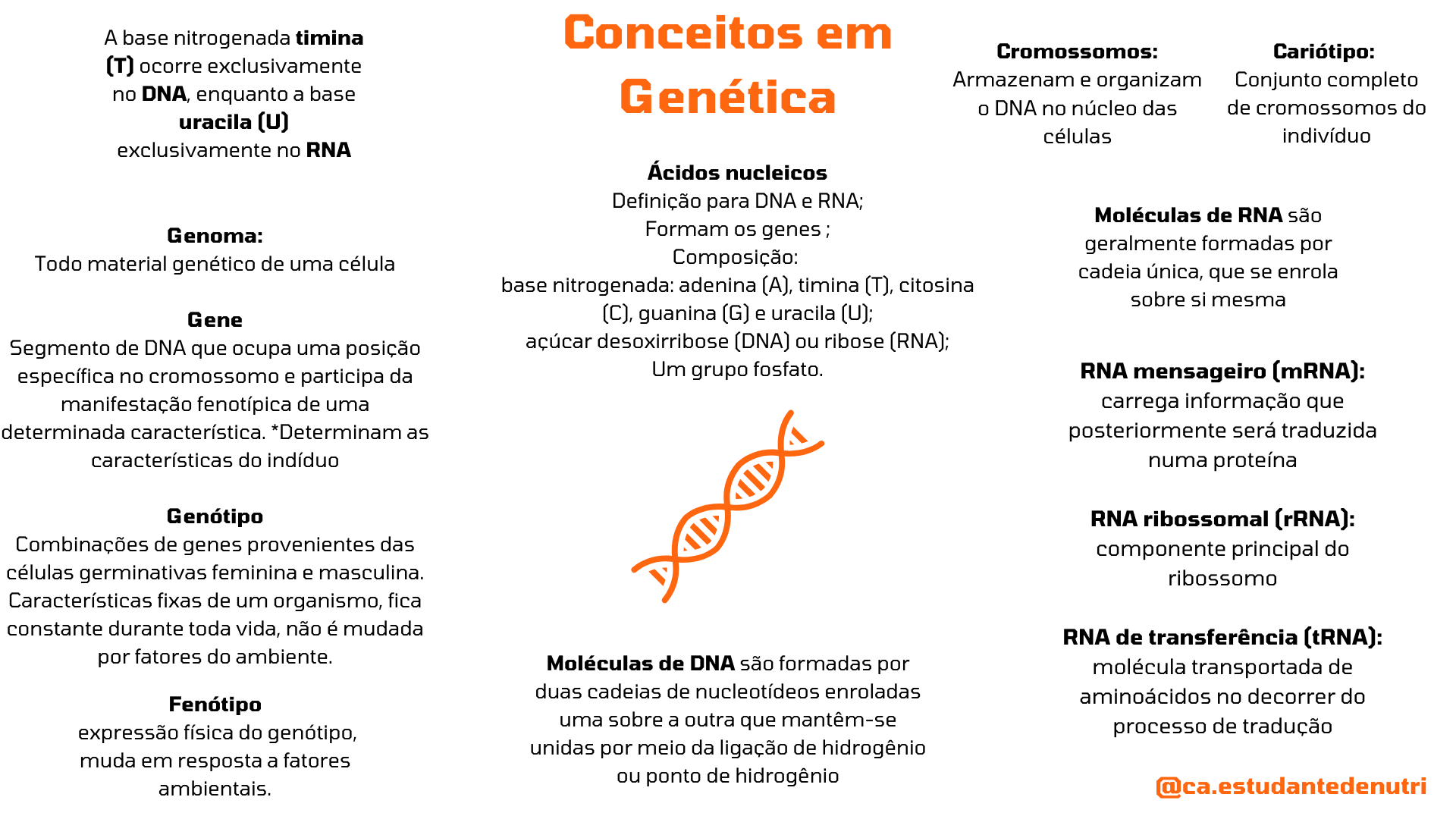 Mapa Mental Conceitos De Genetica Librain