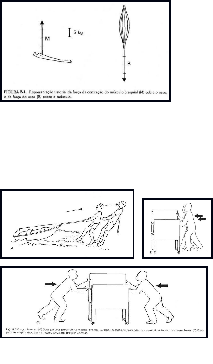 Noções sobre força - Biomecânica