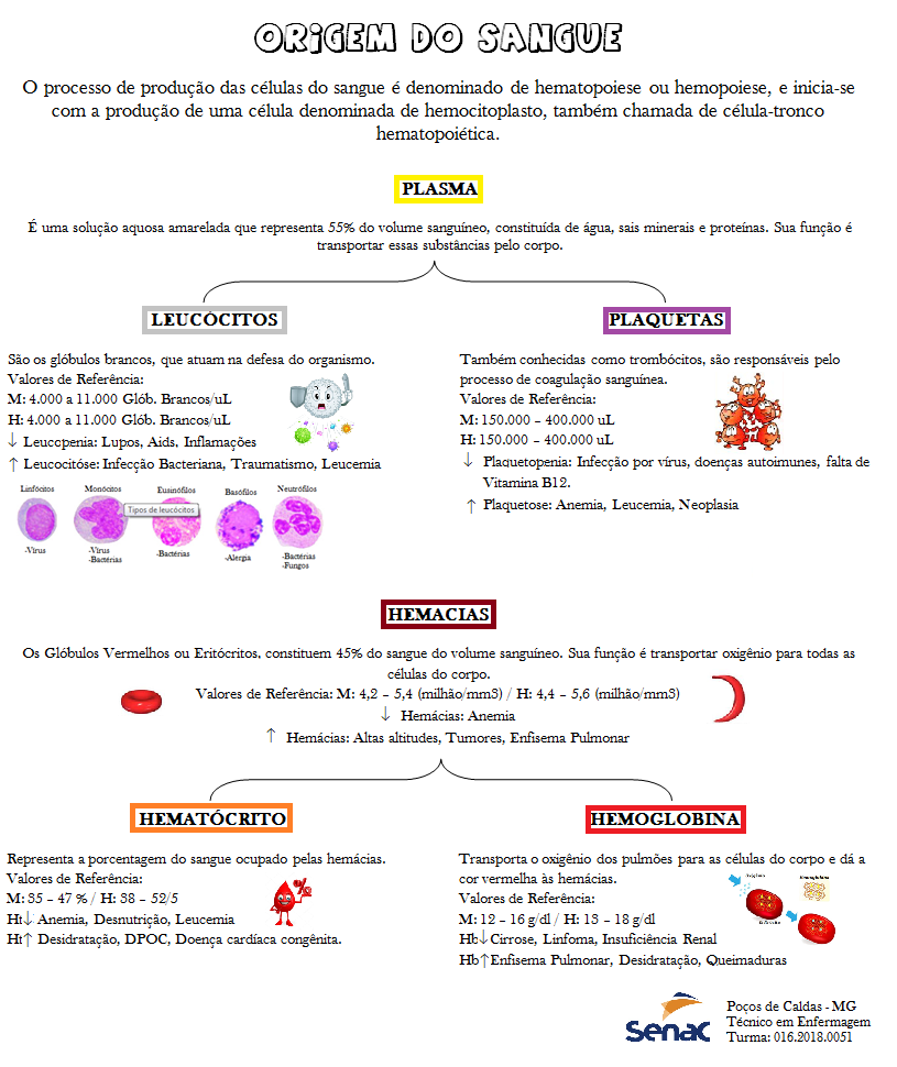 Origem Do Sangue Banner - Hemocomponentes E Hemoderivados