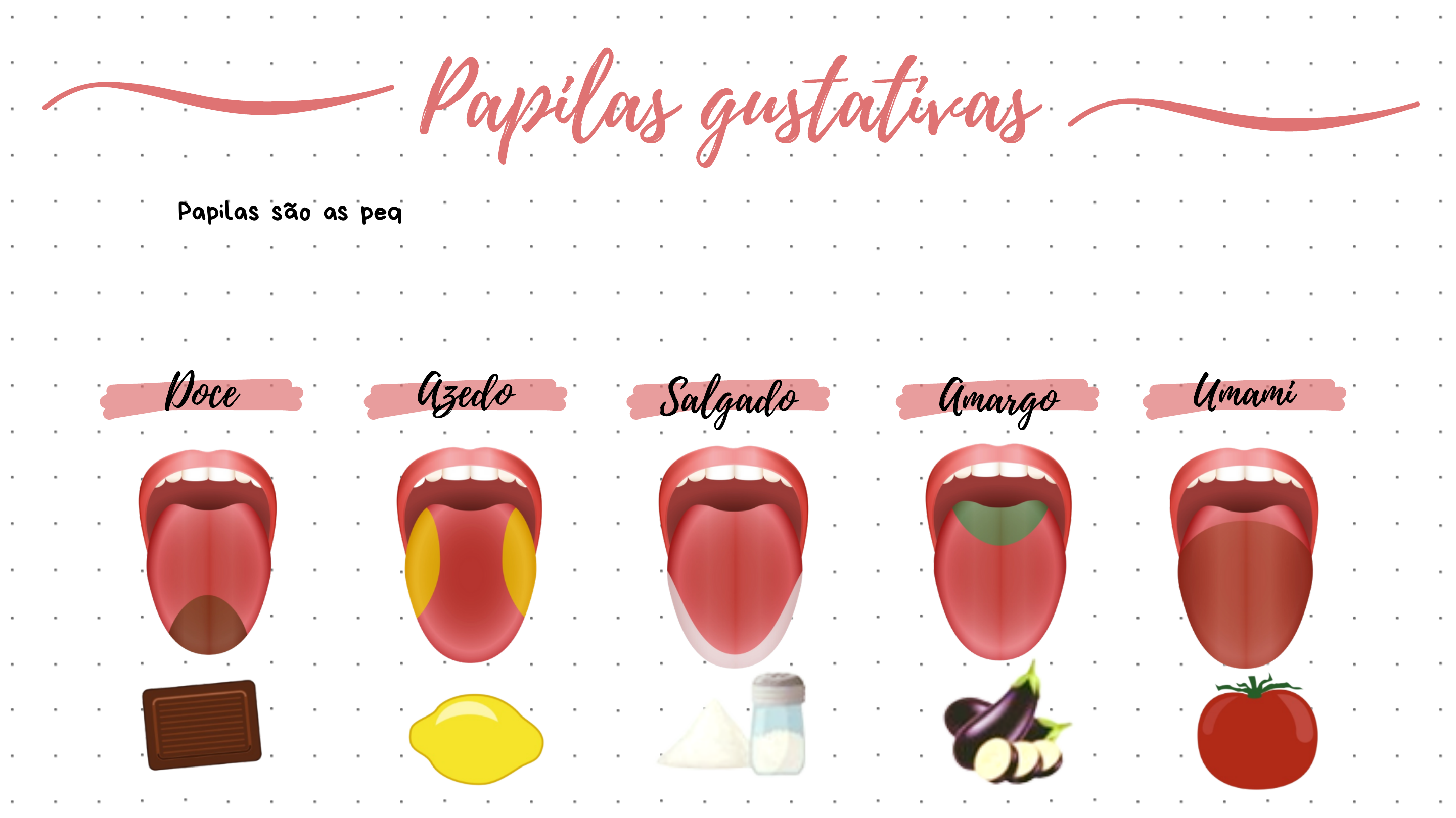 Partes Das Papilas Gustativas Da Lingua Sentimos O Gosto Dos Alimentos