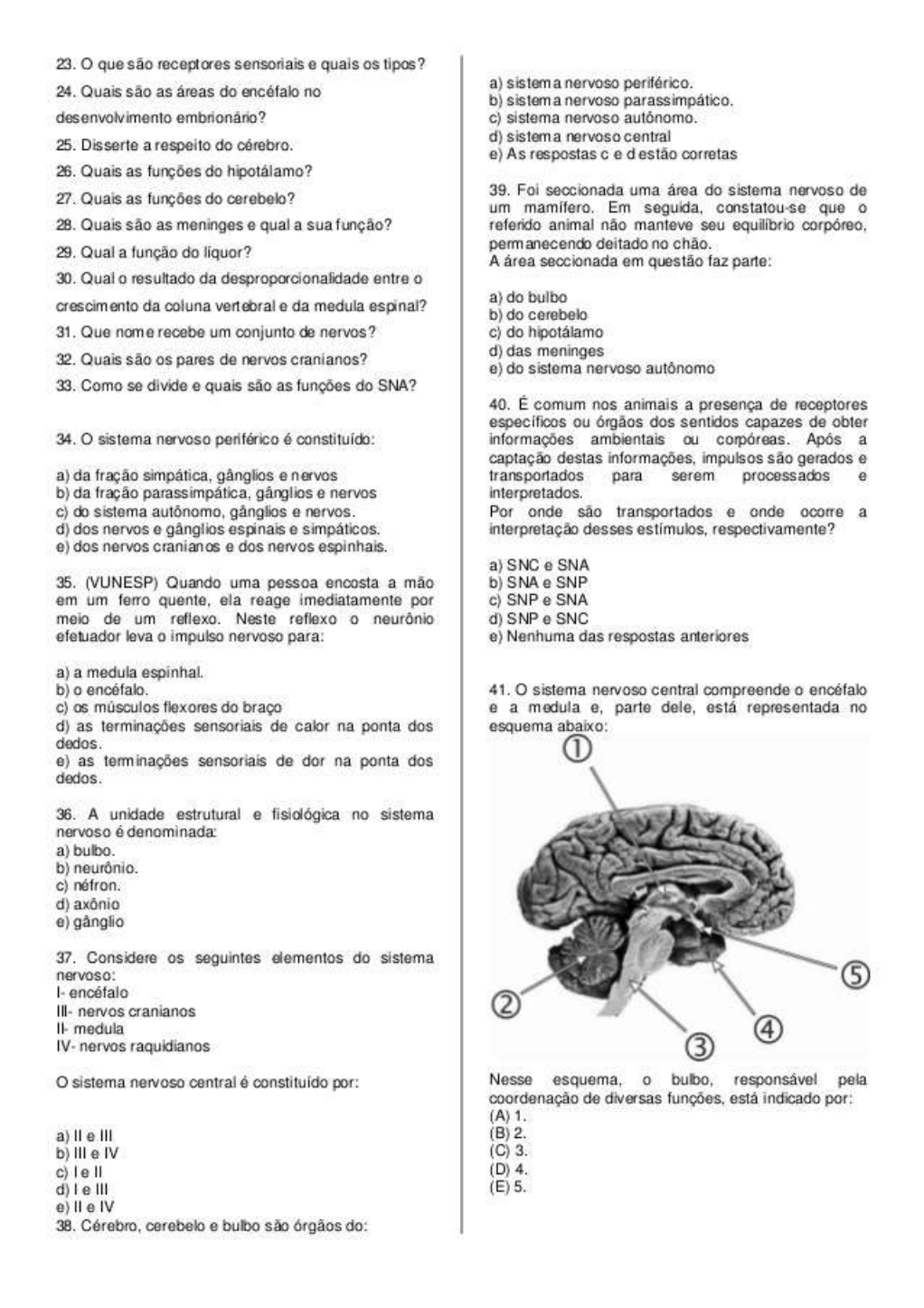 Quiz Sobre Sistema Nervoso - FDPLEARN