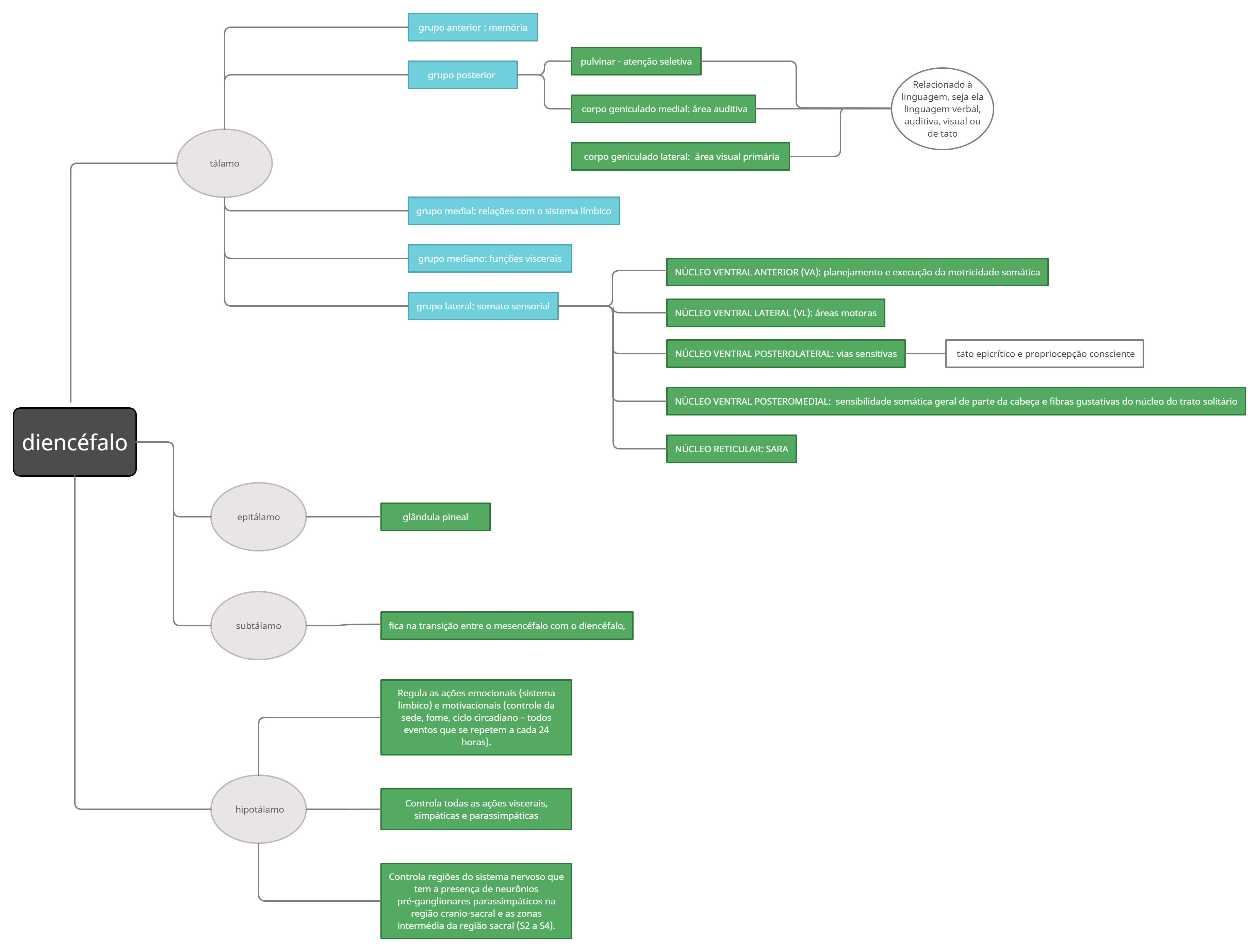 mapa mental diencéfalo - Neuroanatomia
