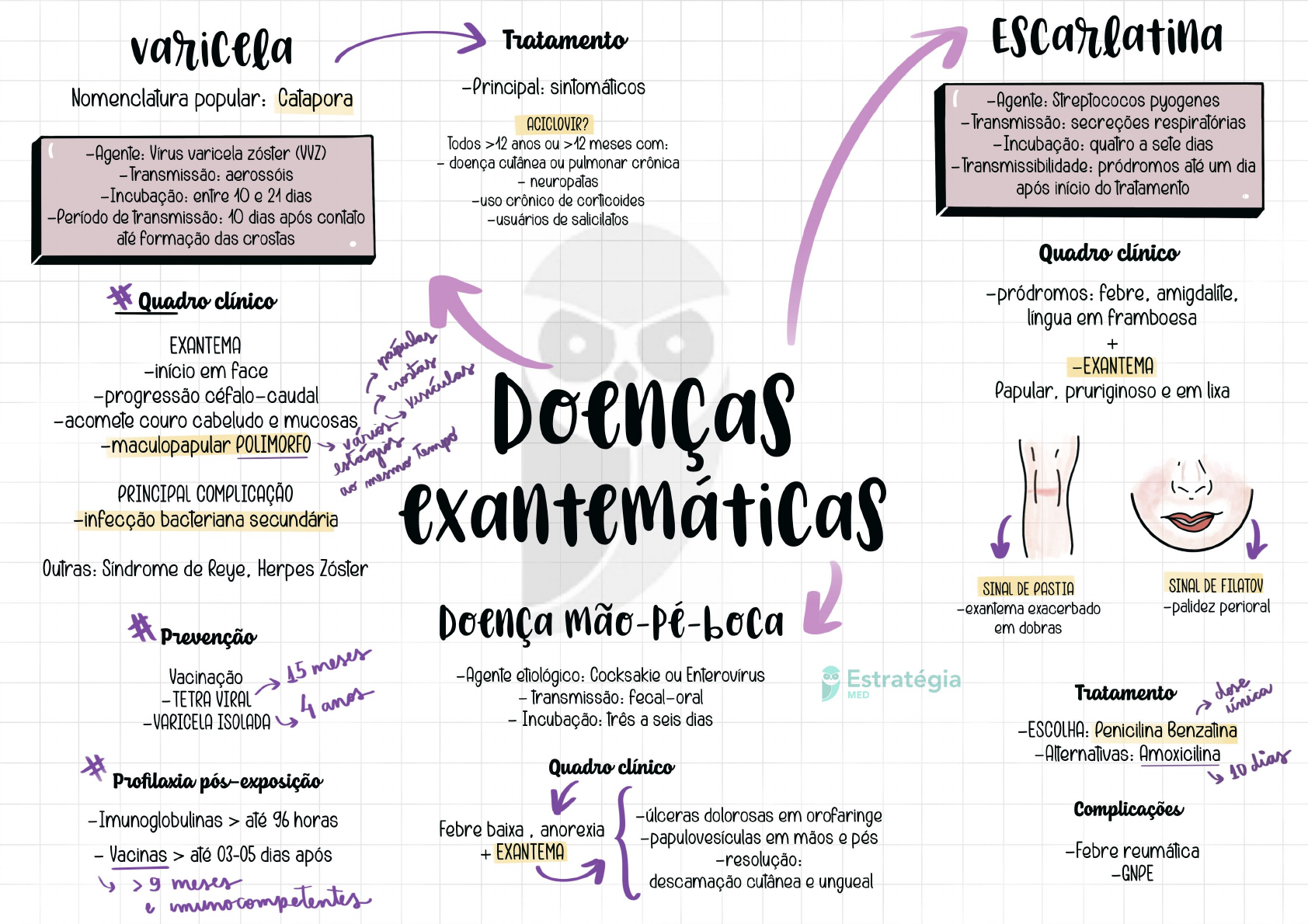 Mapa Mental Doenças Exantemáticas - Pediatria I