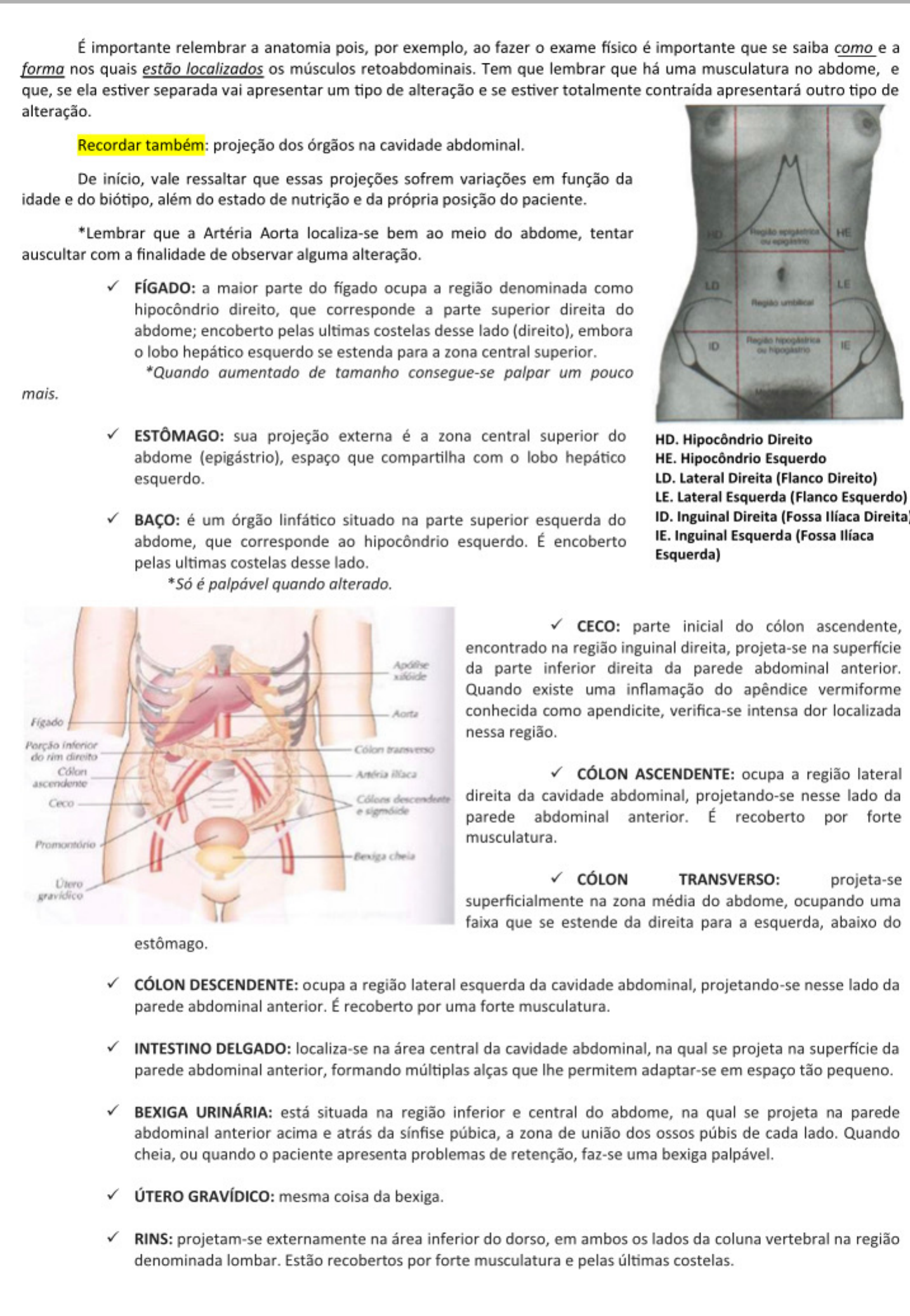 Semiologia Do Abdome Semiologia M Dica