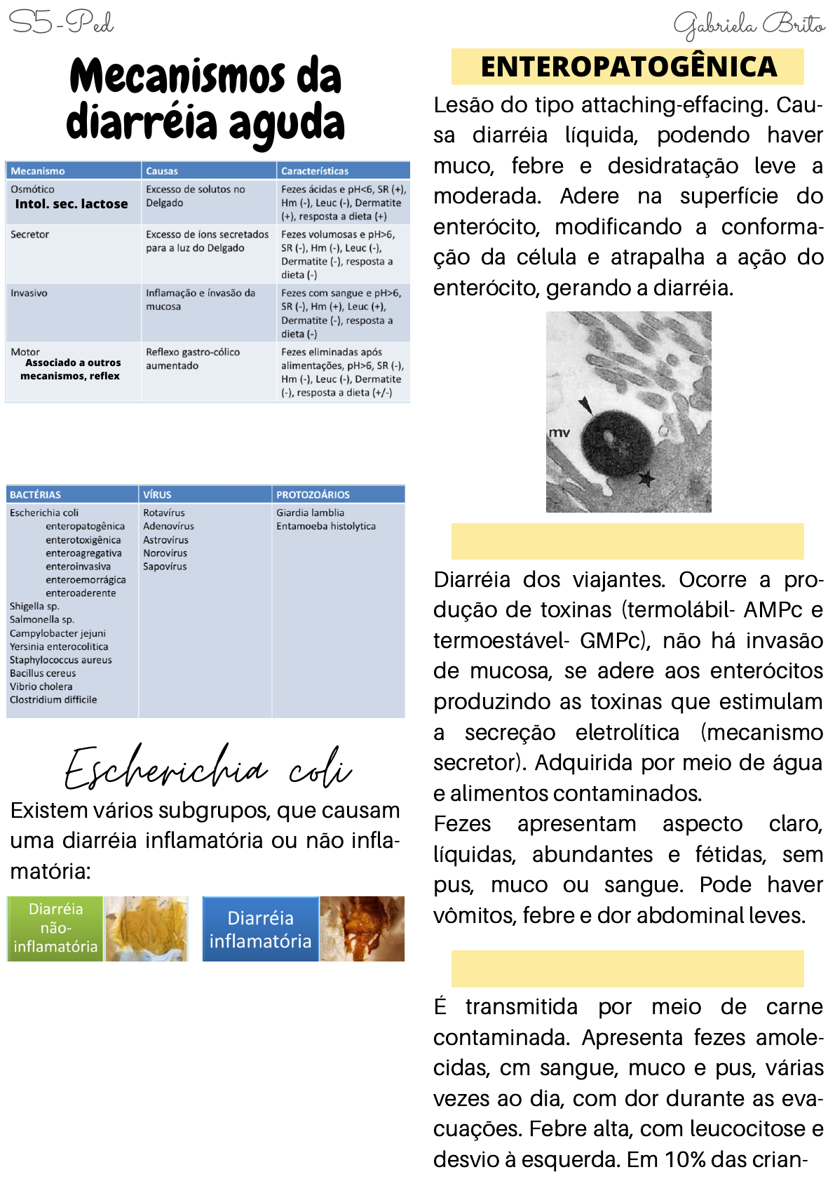 Grtis: Diarreia e desidratao - Questes Resolvidas com Gabarito em PDF Grtis: Diarreia e desidratao - Questes Resolvidas com Gabarito em PDF