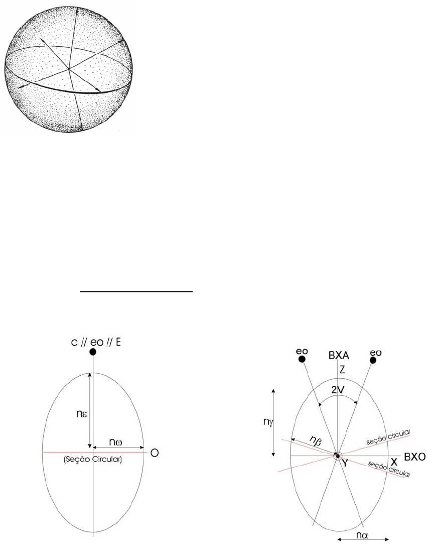 Isotropia/Anisotropia