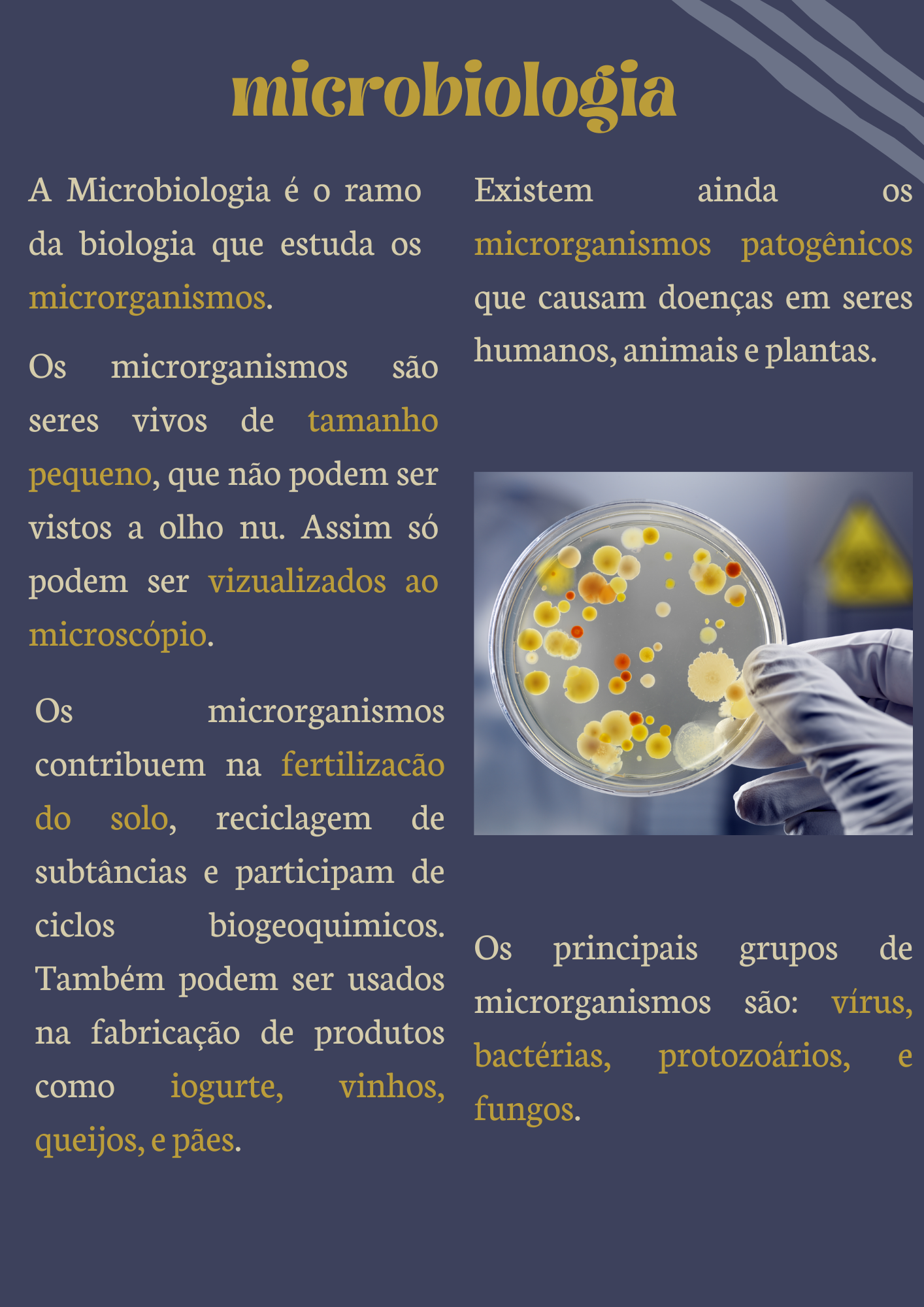 Microbiologia - Biologia