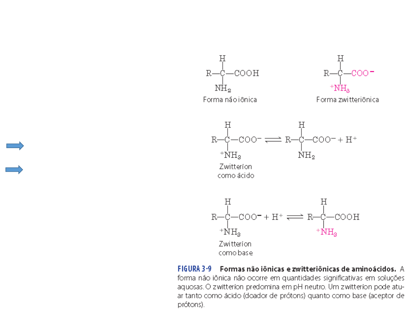 Grátis: Aminoácidos: Estrutura e Classificação - Material Claro e Objetivo  em PDF para Estudo Rápido, image size:1440x1080
