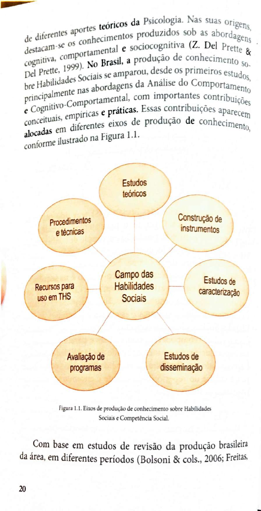 Compet Ncia Social E Habilidades Sociais Psicologia Comportamental