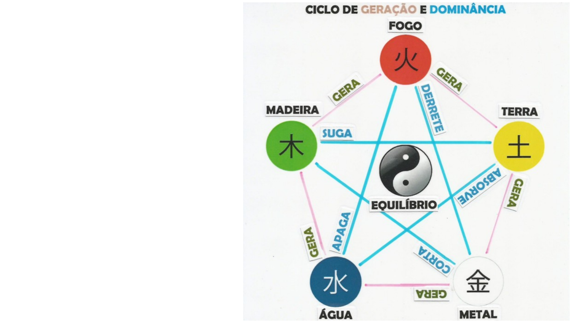 Os 5 Movimentos - Água Fogo Madeira Metal Terra 