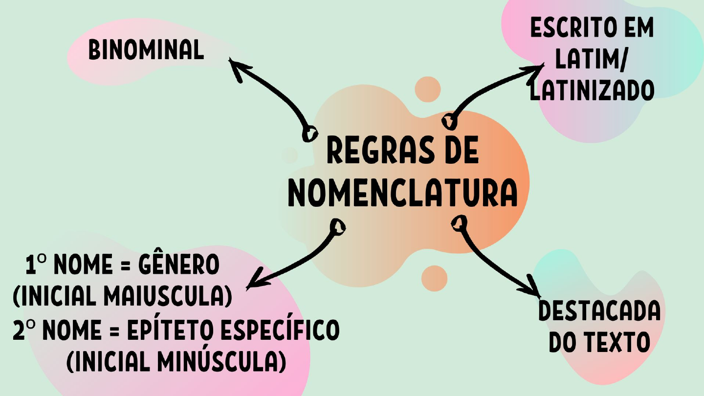 O Que é Nomenclatura Científica - FDPLEARN