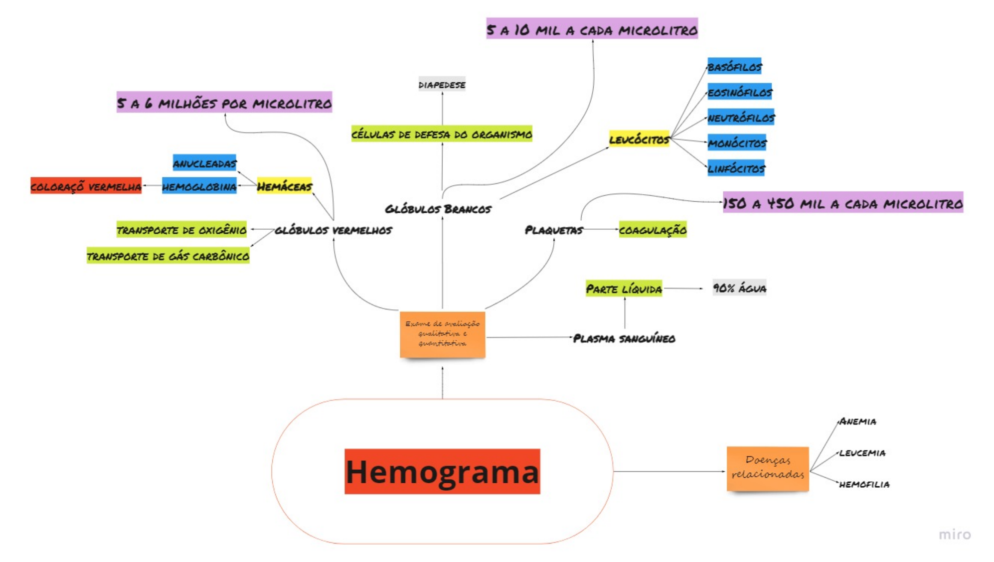 Hemograma Mapa Mental Fisiologia I Images And Photos Finder