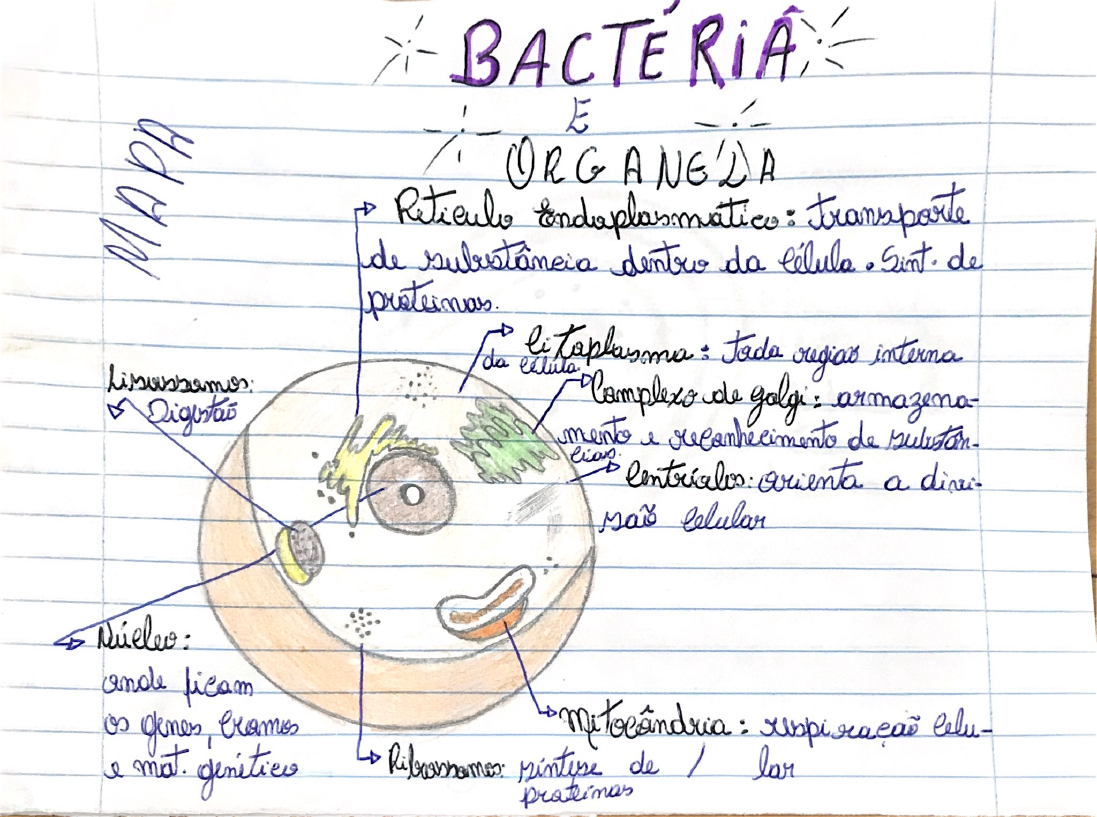 Mapa mental - Microbiologia