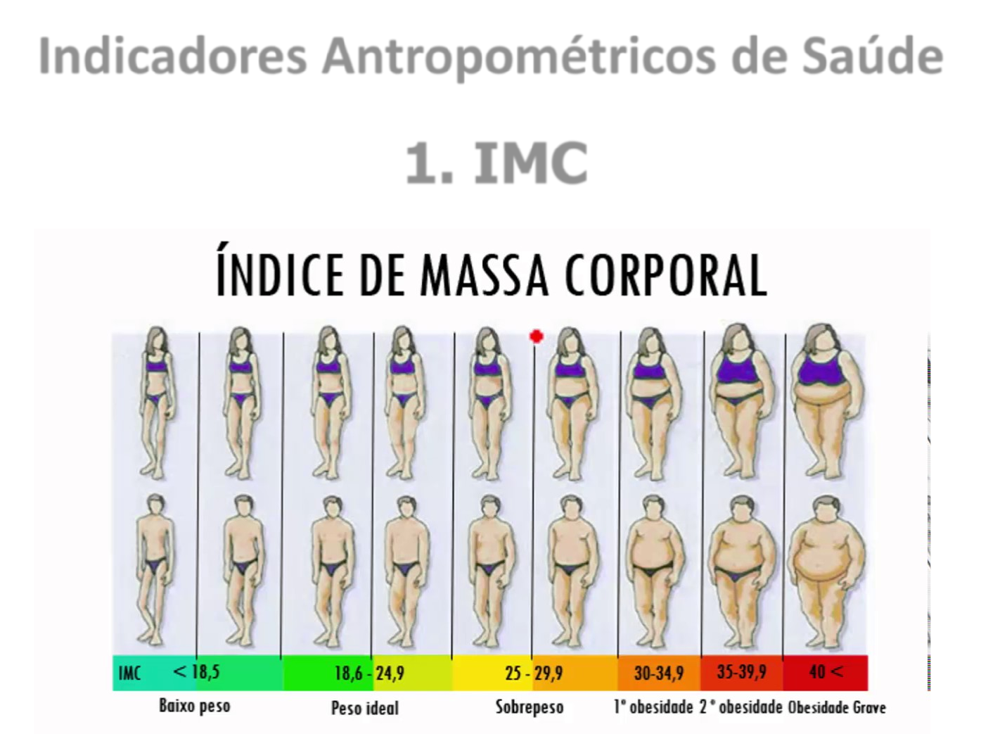 Comparação entre o índice de massa corpórea e porcentagem de gordura, e  análise da relação cintura/quadril em desportistas de uma academia de São  Paulo