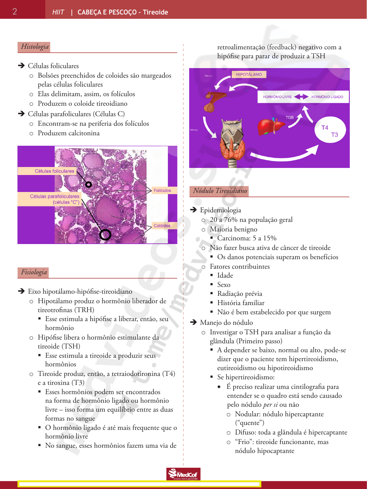 Grátis: Tireoide: Anatomia, Fisiologia e Patologias - Questões Resolvidas  com Gabarito em PDF, image size:1191x1587