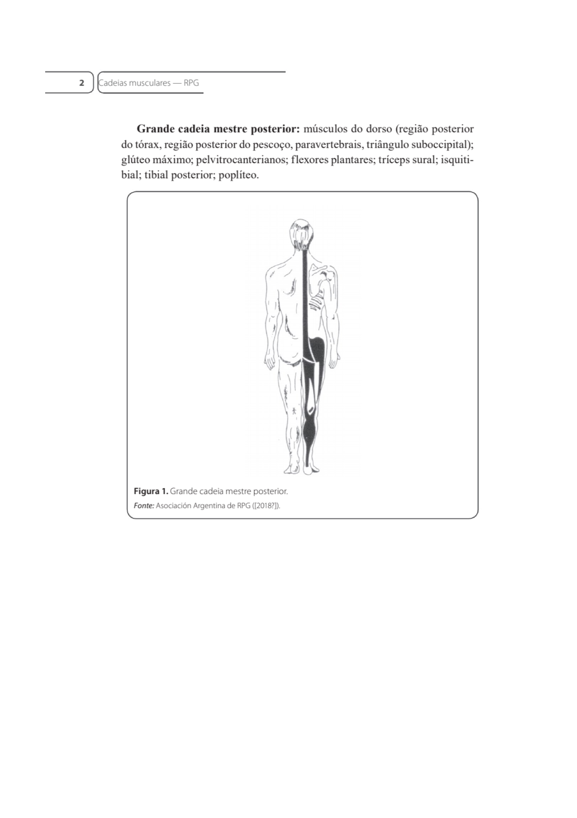 A cadeia mestra posterior