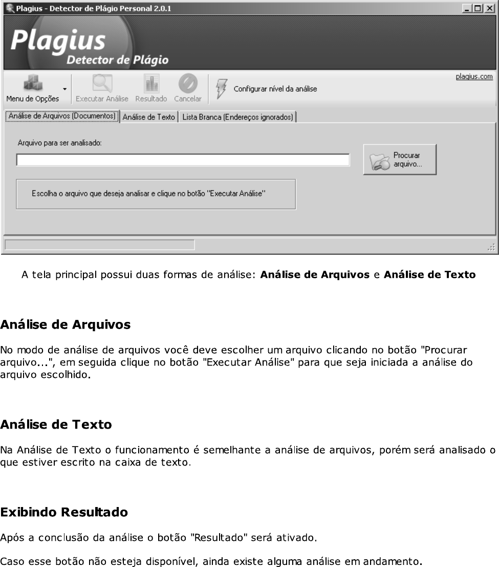 instal Plagius Professional 2.8.6 free