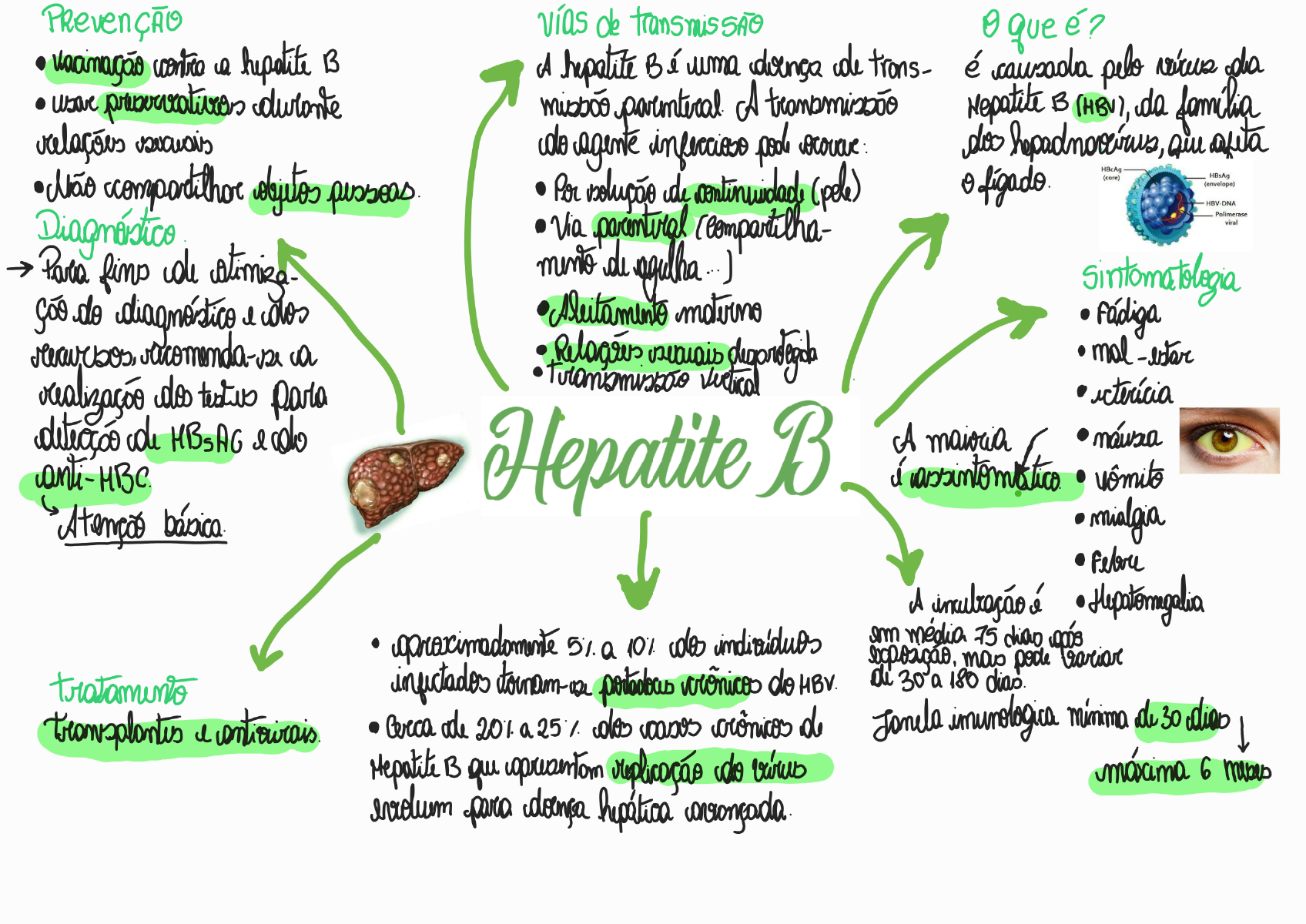 Hepatite B - Patologia I