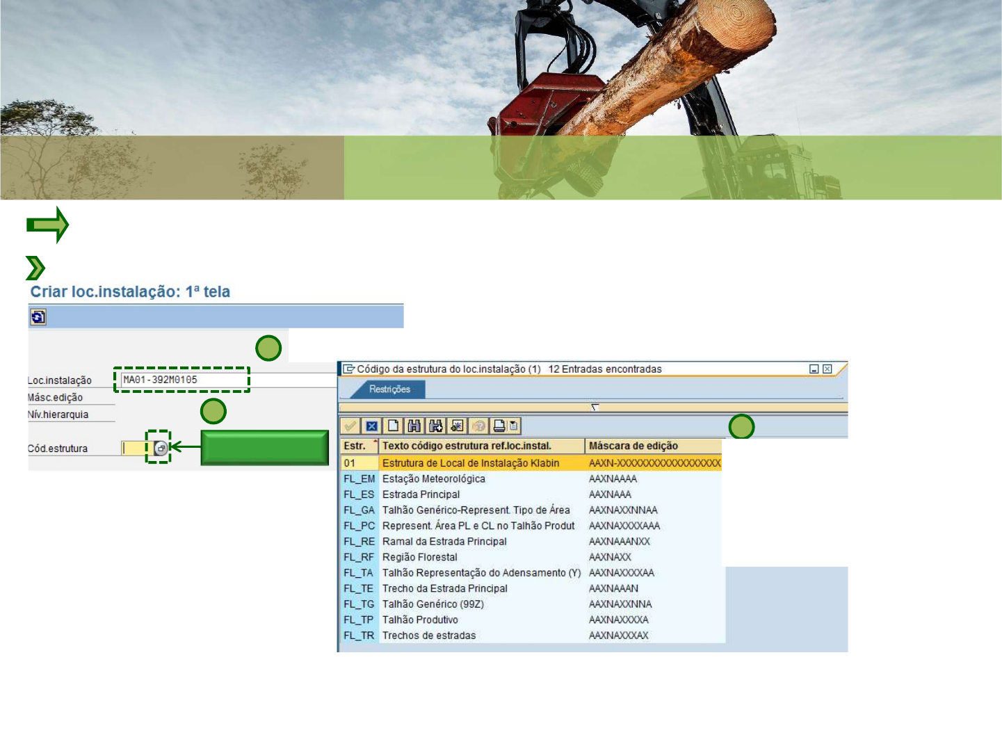 Passo a passo para Criar Local de Instalação SAP - Física I