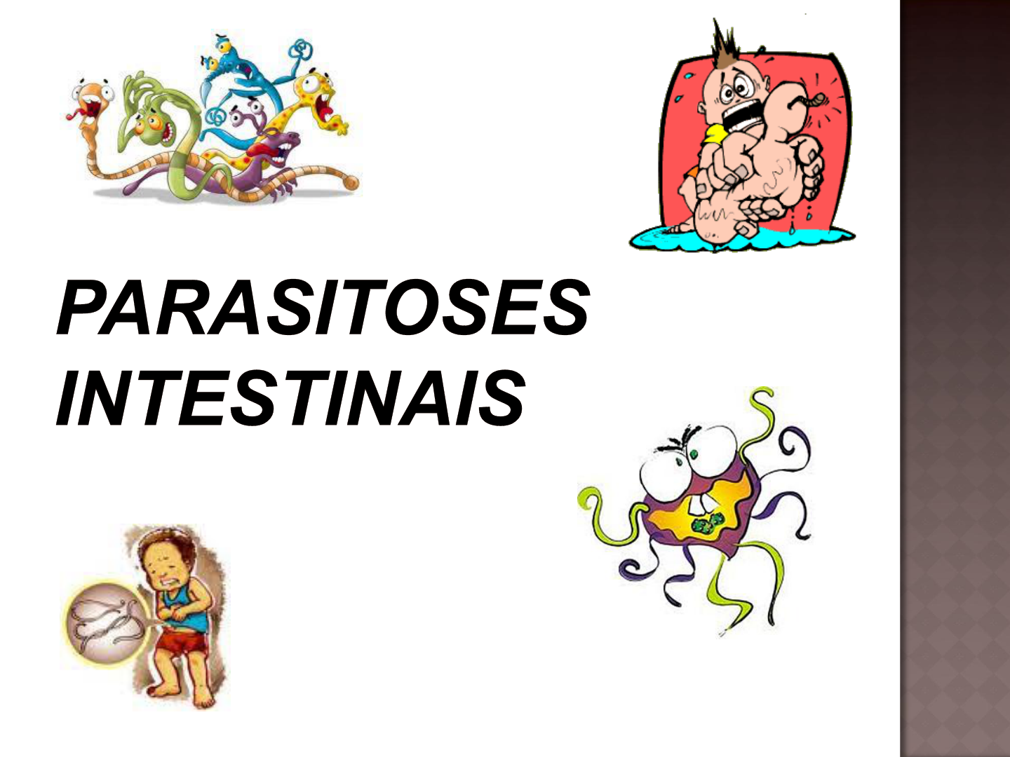 Aula 3 Parasitoses Intestinais 1 Pediatria I Hot Sex Picture 9232