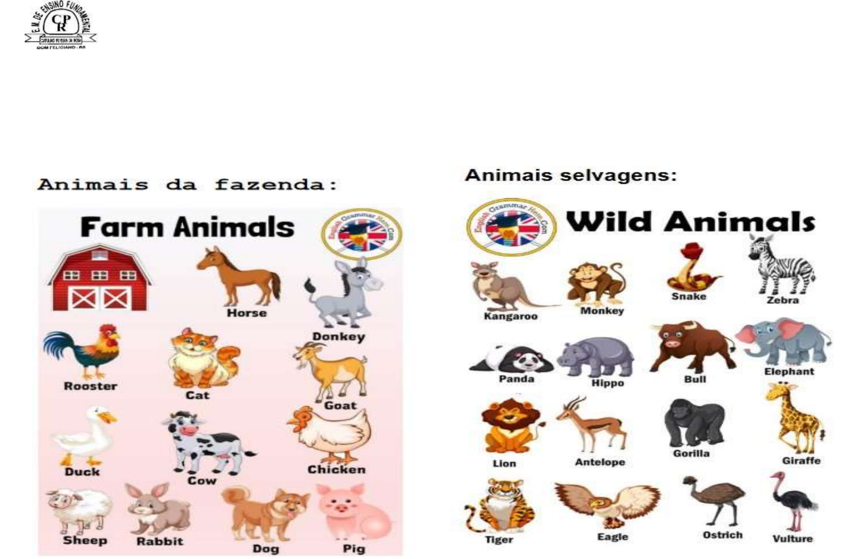 Animais Em Inglês (Domésticos, Da Fazenda, Selvagens, Marinhos)