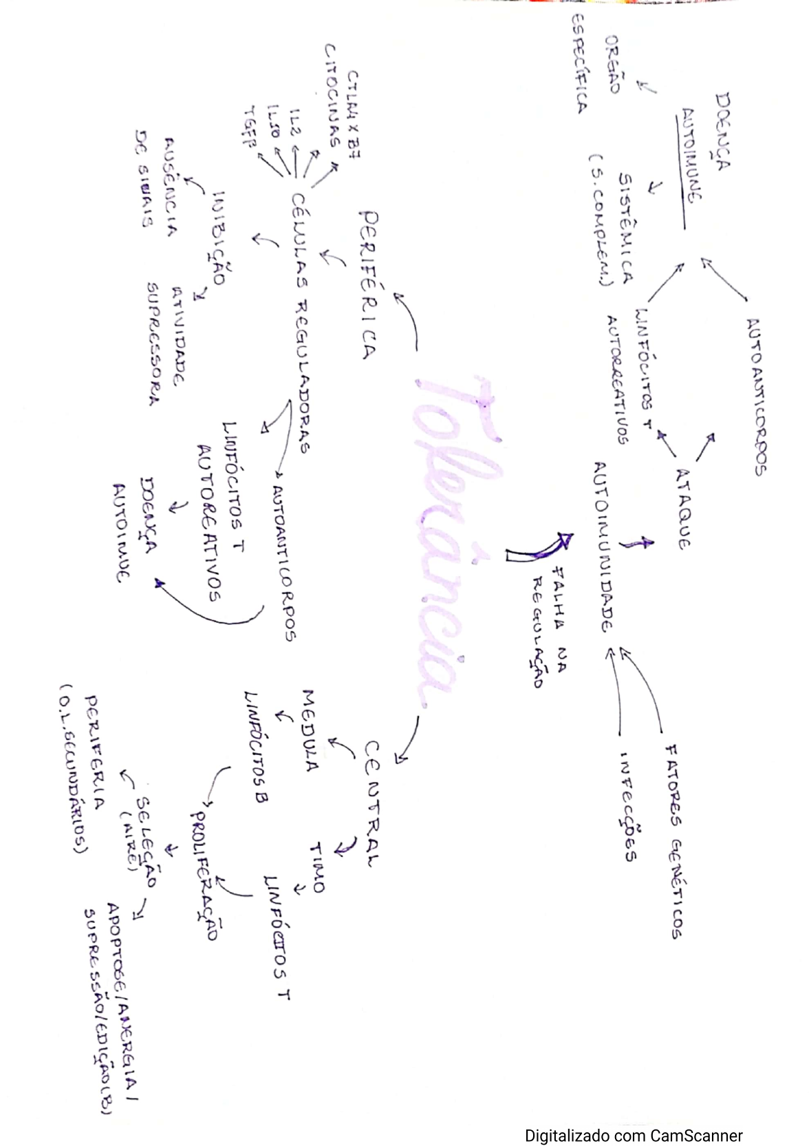 Mapa Mental - Microbiologia E Imunologia I