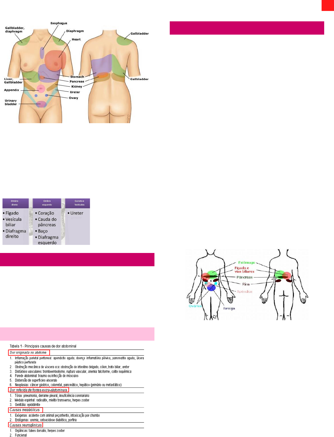 8 sinais que seu corpo dá 1 mês antes de infartar - Portal T5