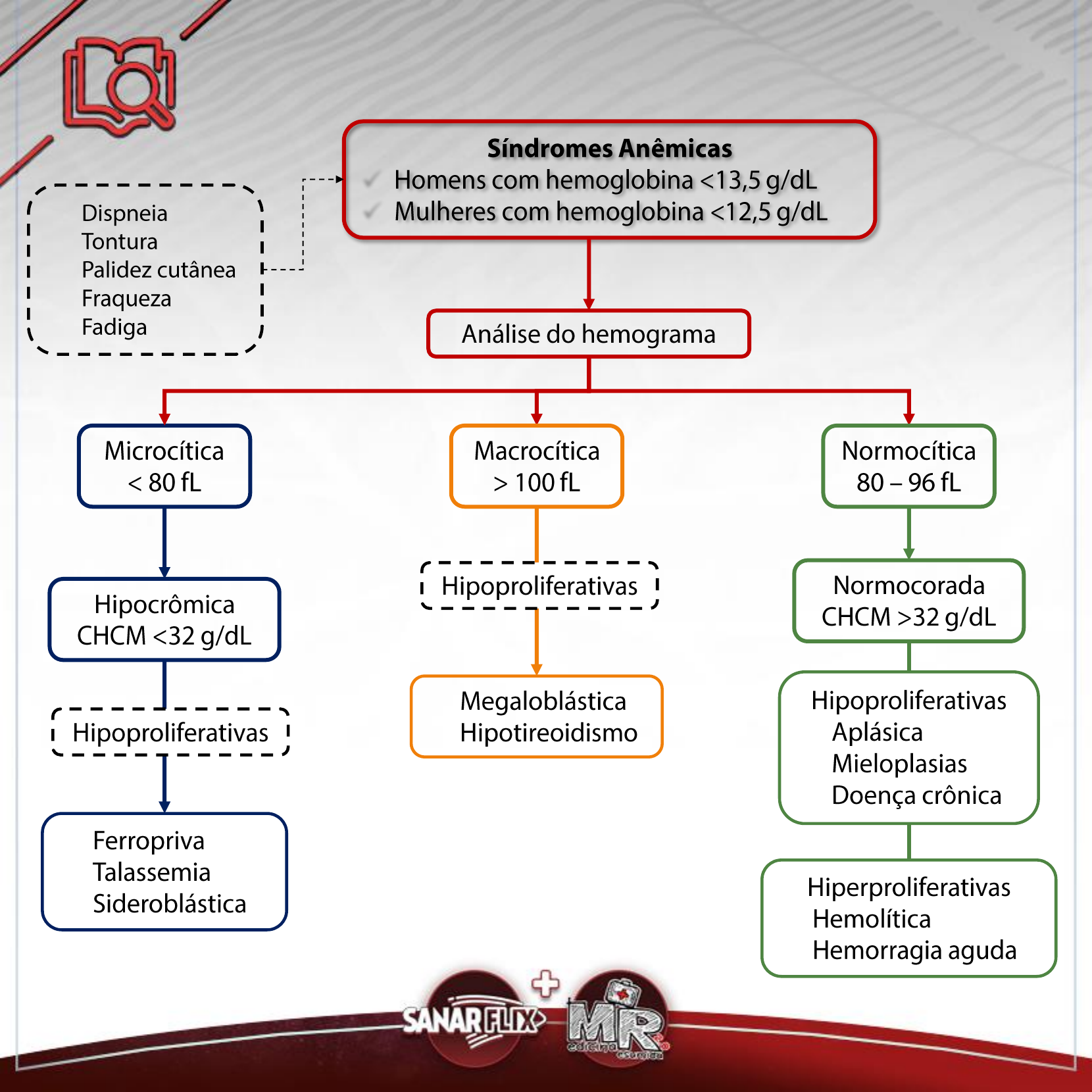 MAPA MENTAL ANEMIAS - Hematologia