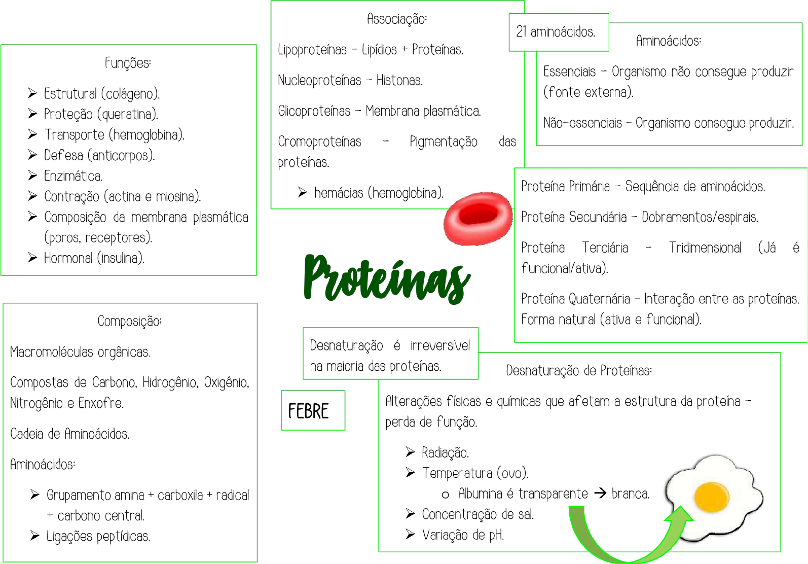 Mapa Mental Sobre Proteinas Baixe Gratis Em Pdf Mapa 8948