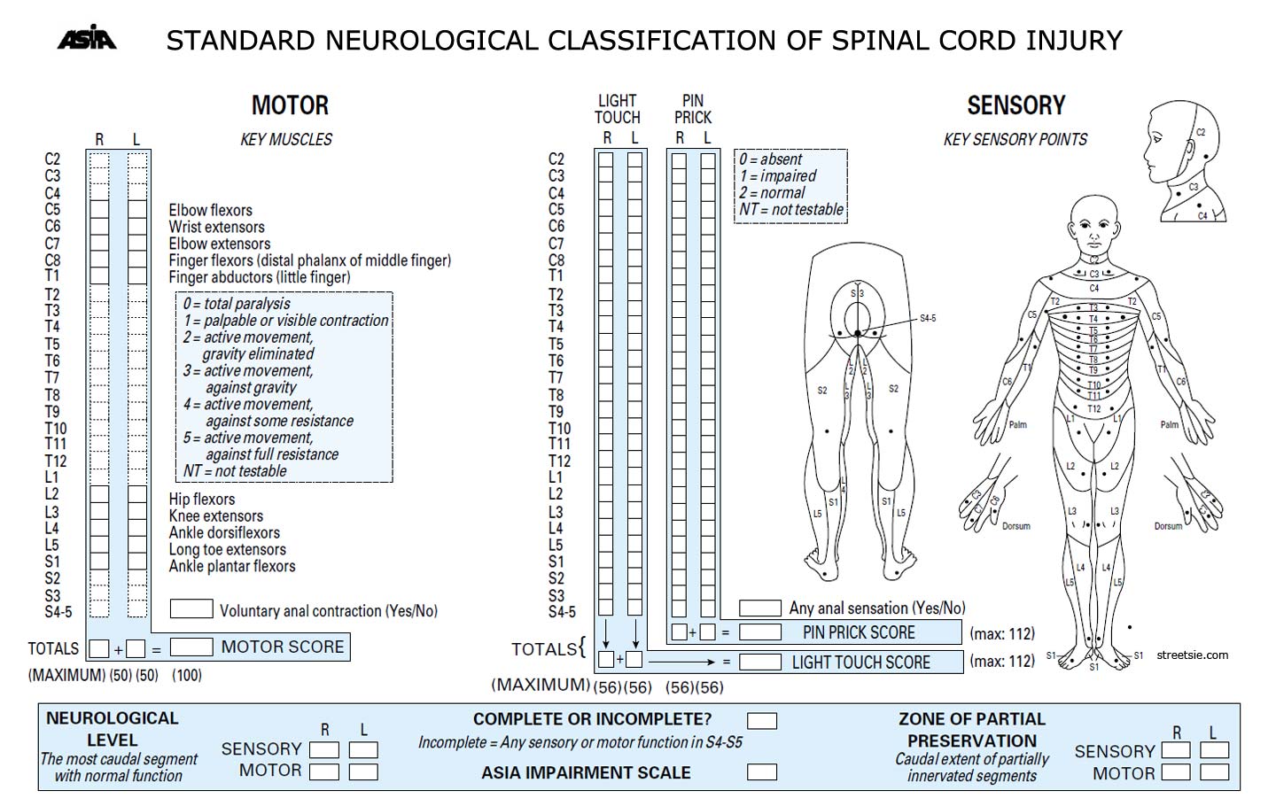 Escala ASIA Neurologia   0e54ed17 60ec 46ec 99f8 C1cc975bffa0 