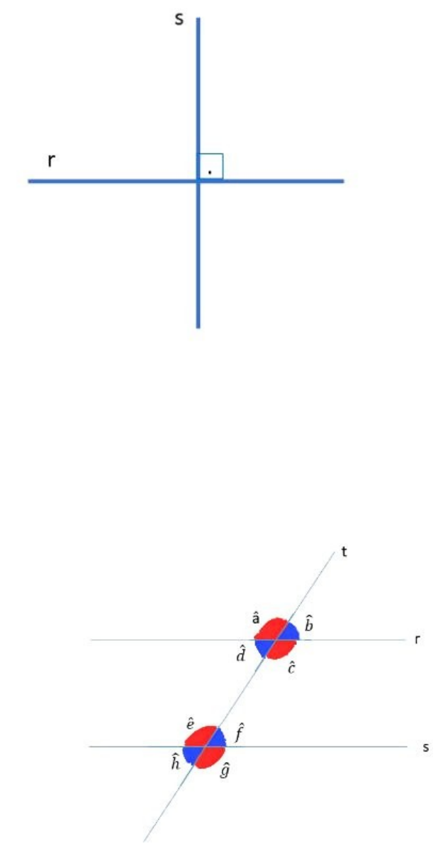 Matemática: Geometria Angular: ângulos formados por retas paralelas  intersectadas por uma reta transversal