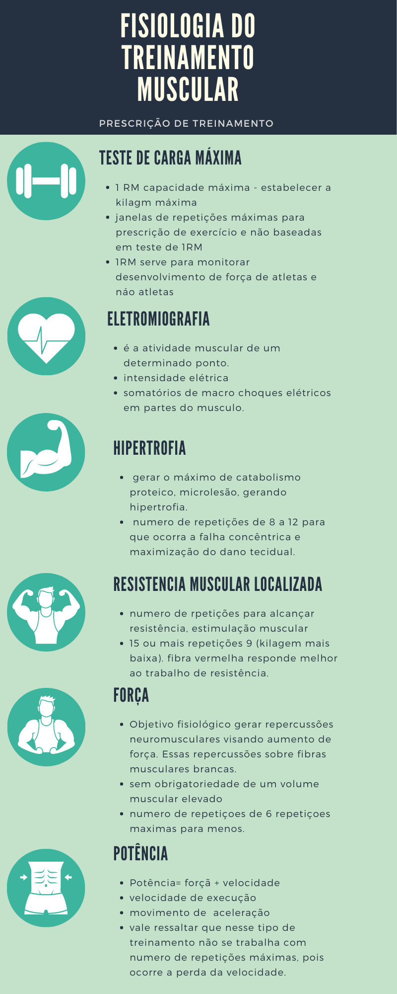 Infogr Fico Fisiologia Do Treinamento Muscular Fisiologia Do Exerc Cio