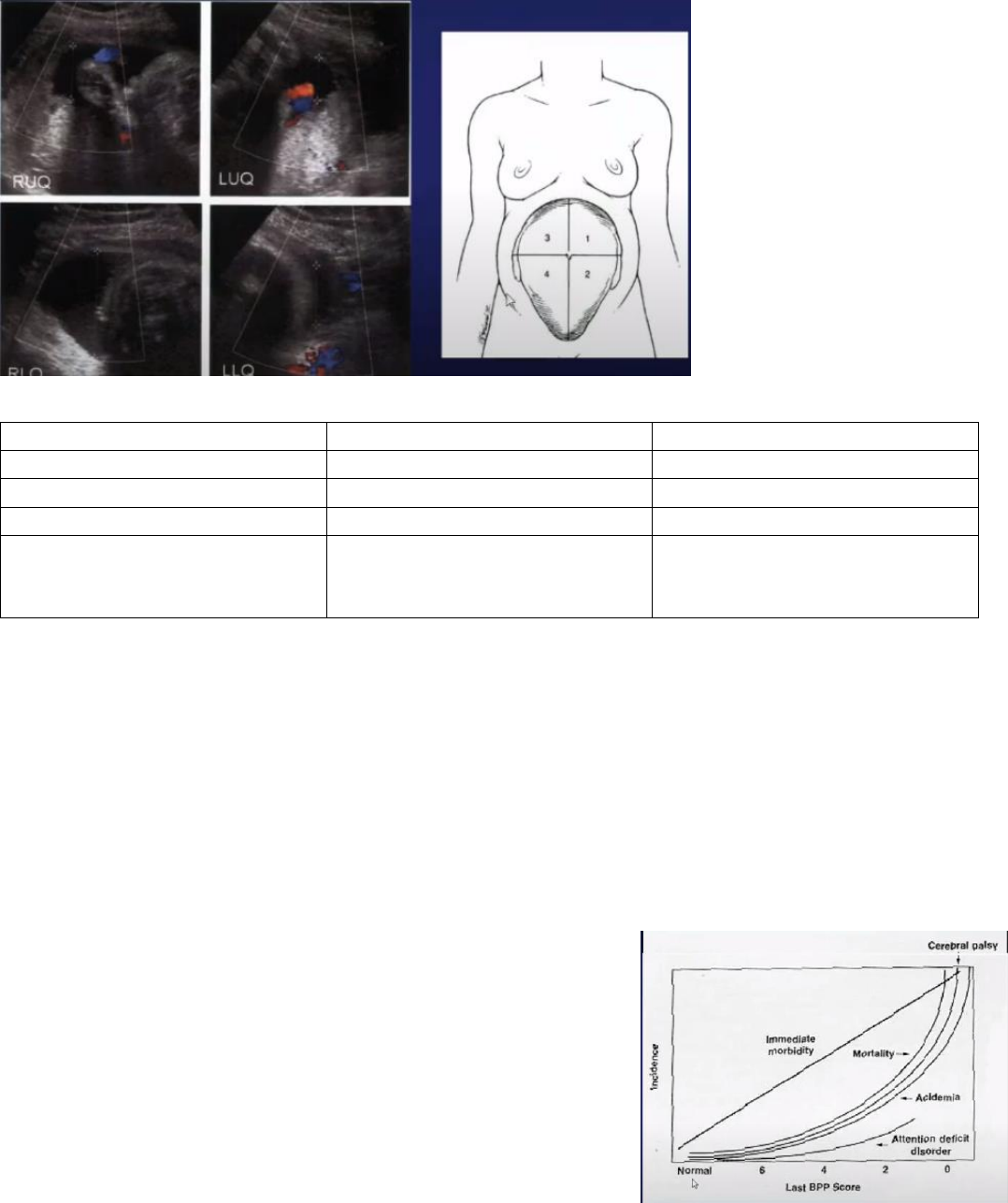 Colar de Corda com Pingente: O Que Realmente Faz Diferença na Prática?, image size:1078x1286