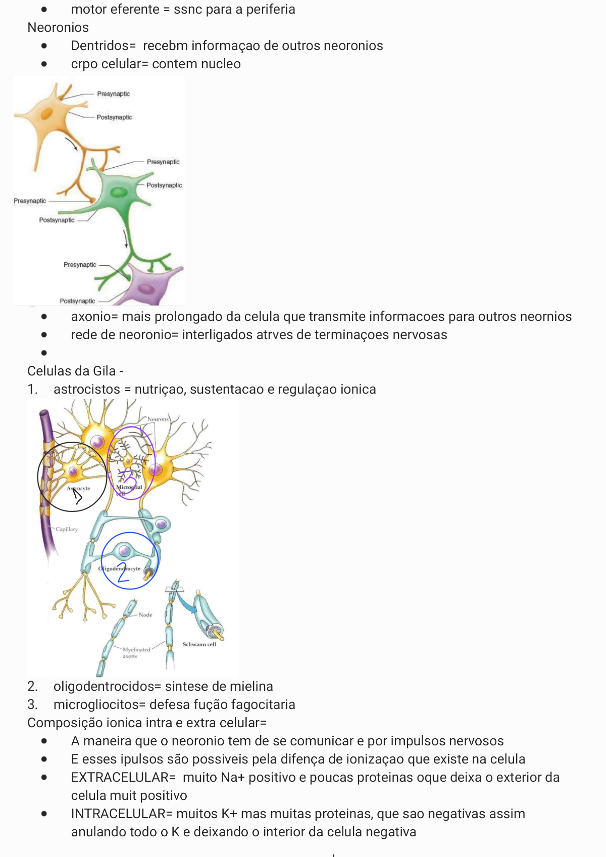 Sinapses E Biogenese Fisiologia I