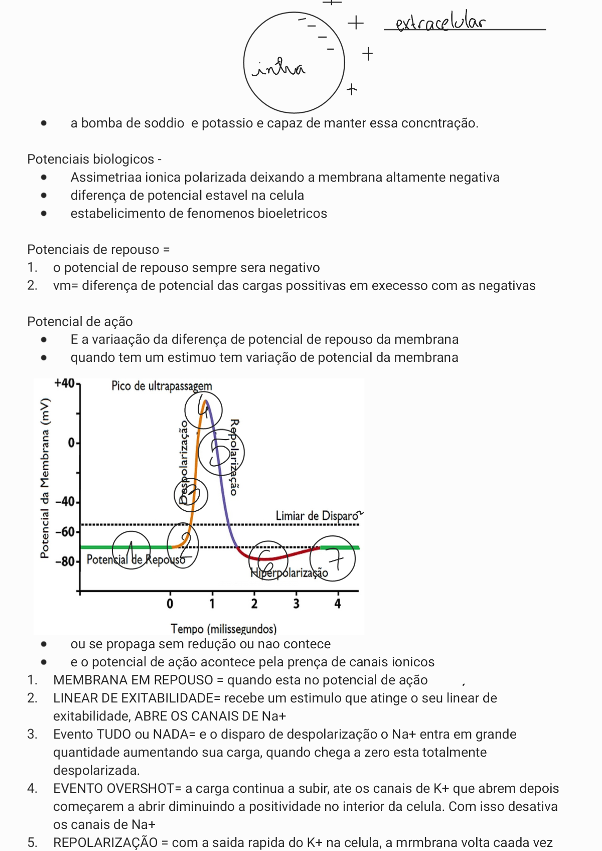 Sinapses E Biogenese Fisiologia I