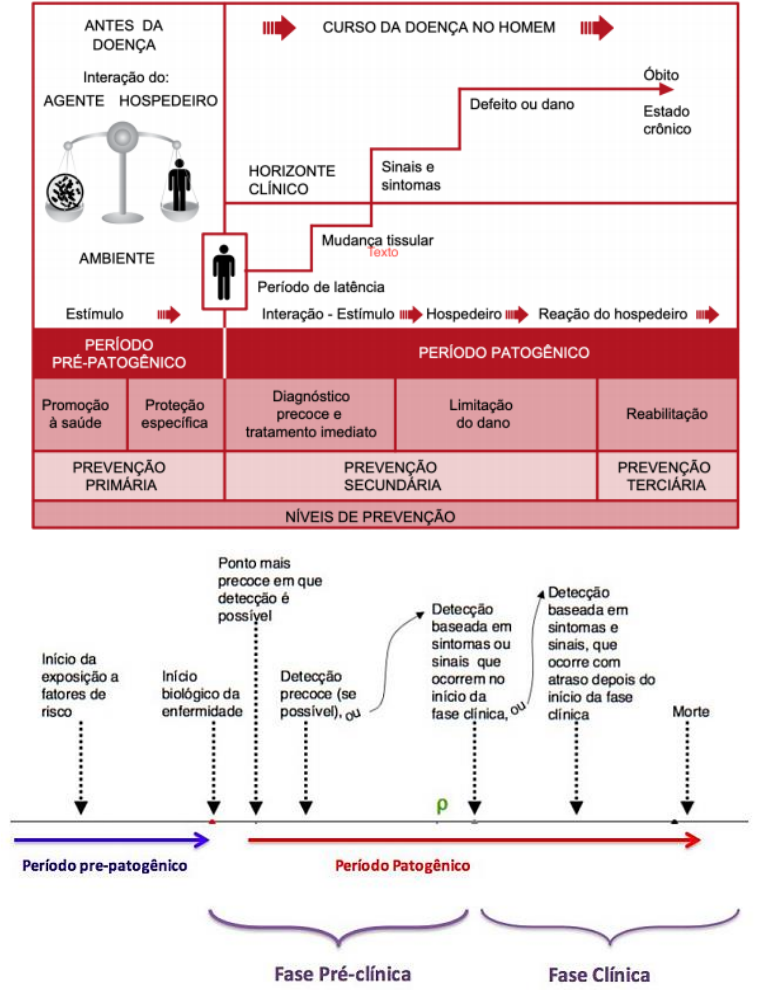 História Natural das Doenças e Níveis de Prevenção - Epidemiologia