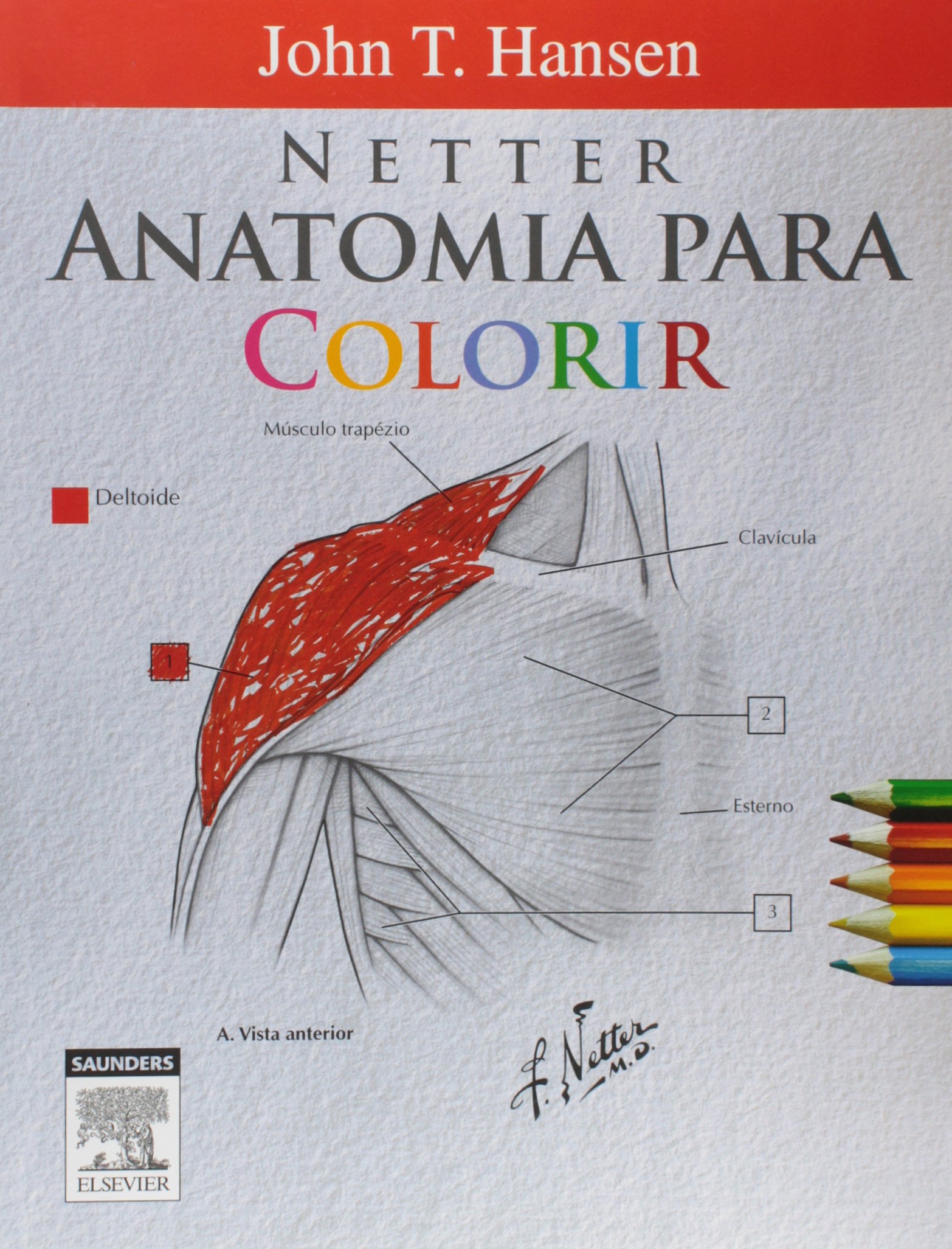 Capa Do Livro Anatomia Para Colorir 1 Anatomia I 0682