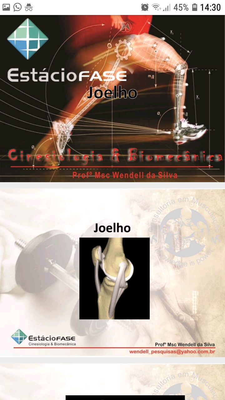 Cinesiologia E Biomecanica Do Joelho - Cinesiologia E Biomecânica