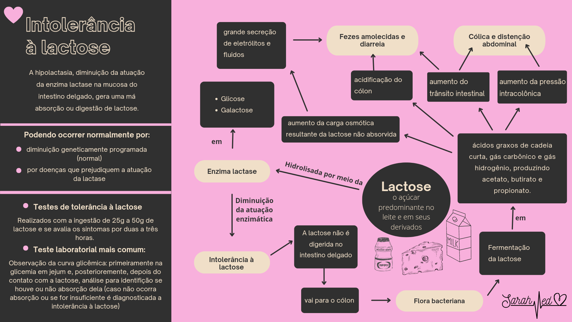 Intolerância à lactose - mapa mental - Medicina