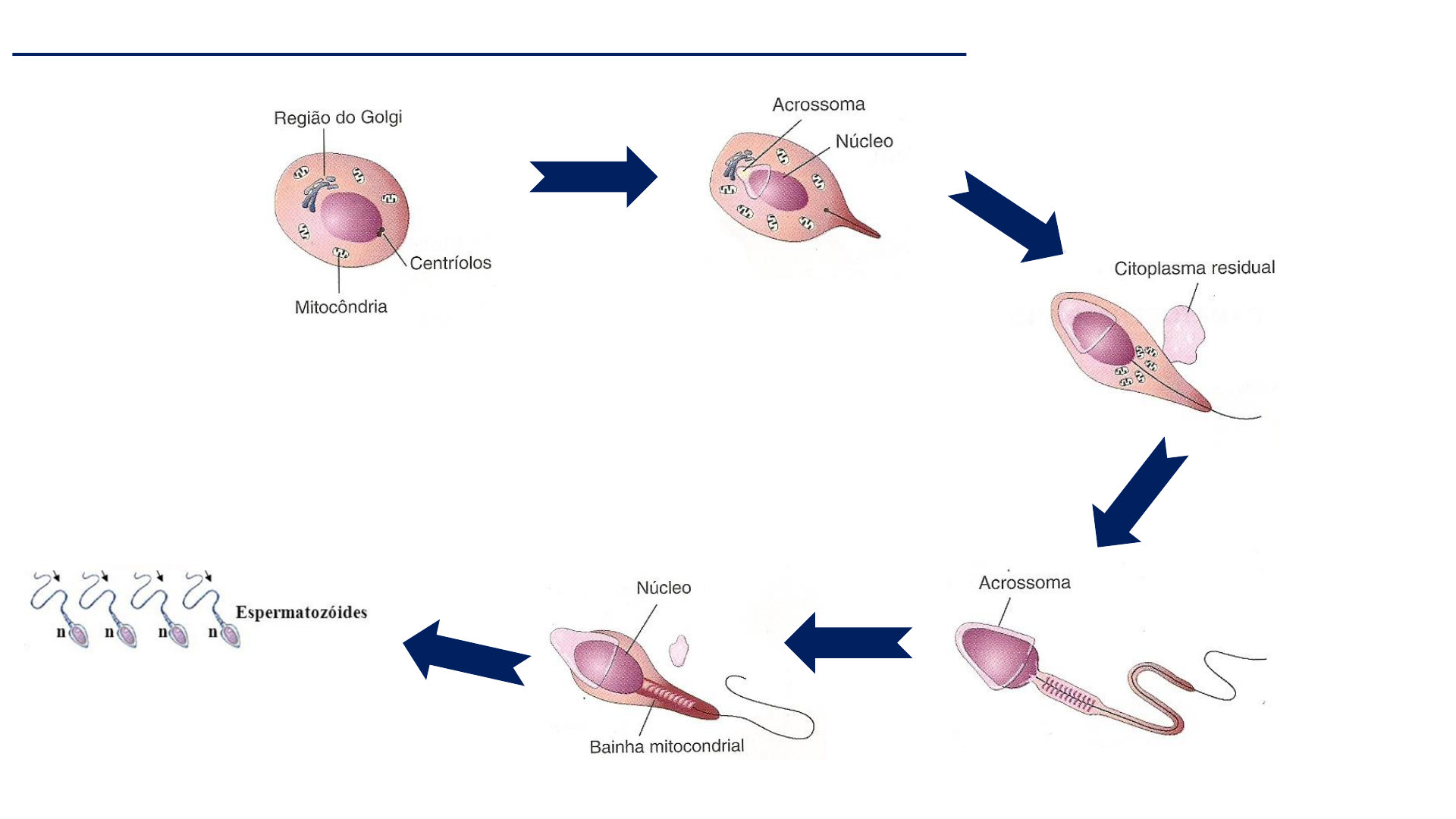 U tugatdi va u sakrashda davom etmoqda