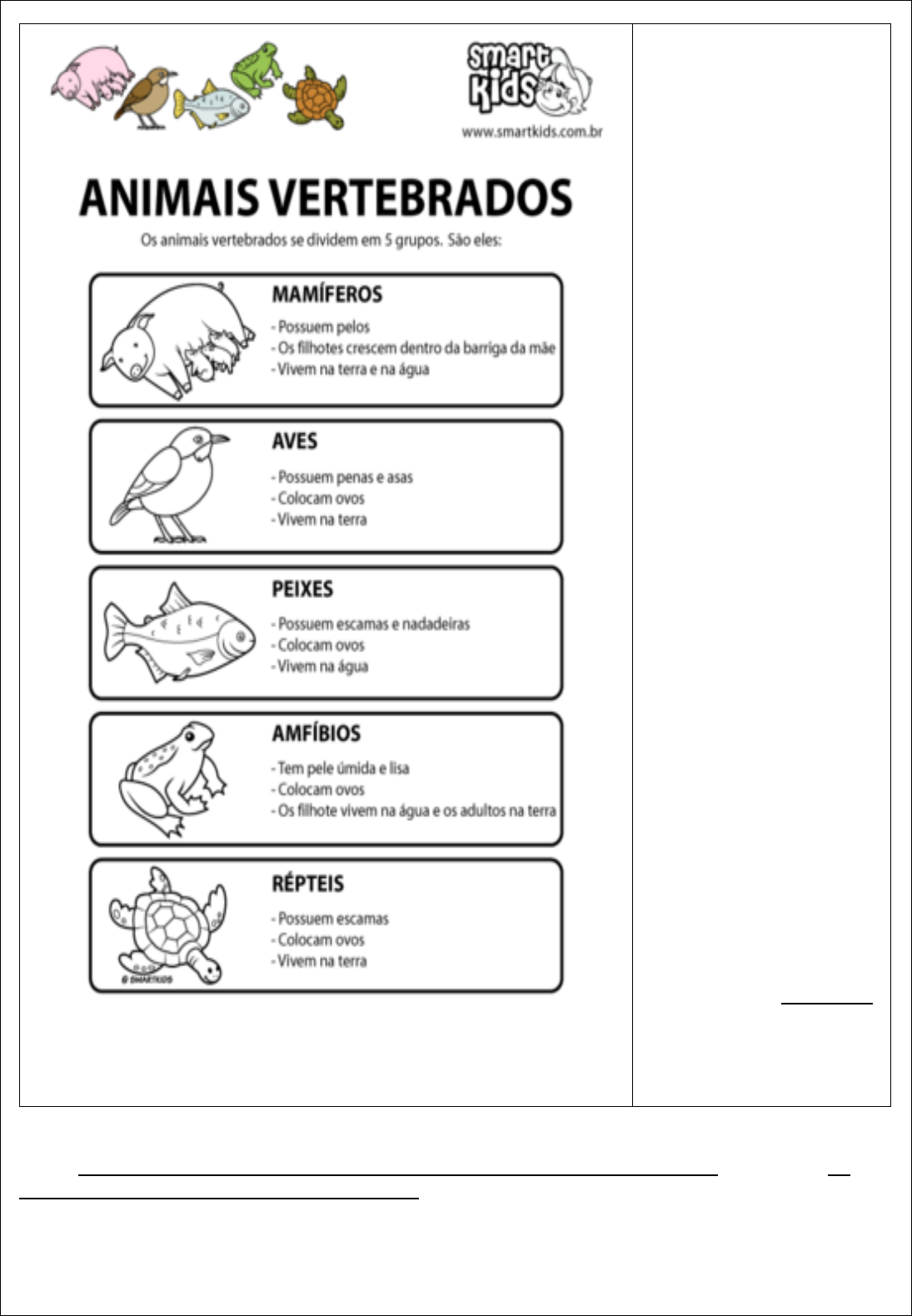 ANIMAIS! VAMOS BRINCAR DE CAÇA-PALAVRAS? KIND 3, Vídeo Educativo - Infantil