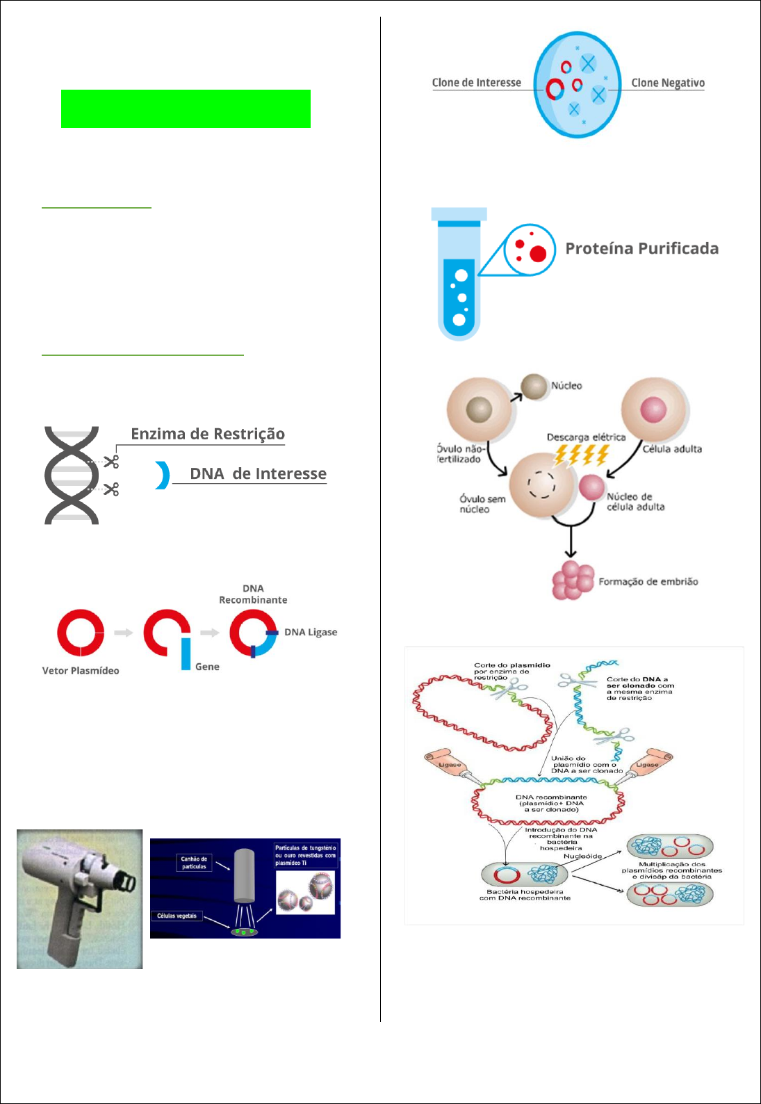 Muestra de la infección viral y la producción de vacunas - Lozier Institute, image size:1095x1588