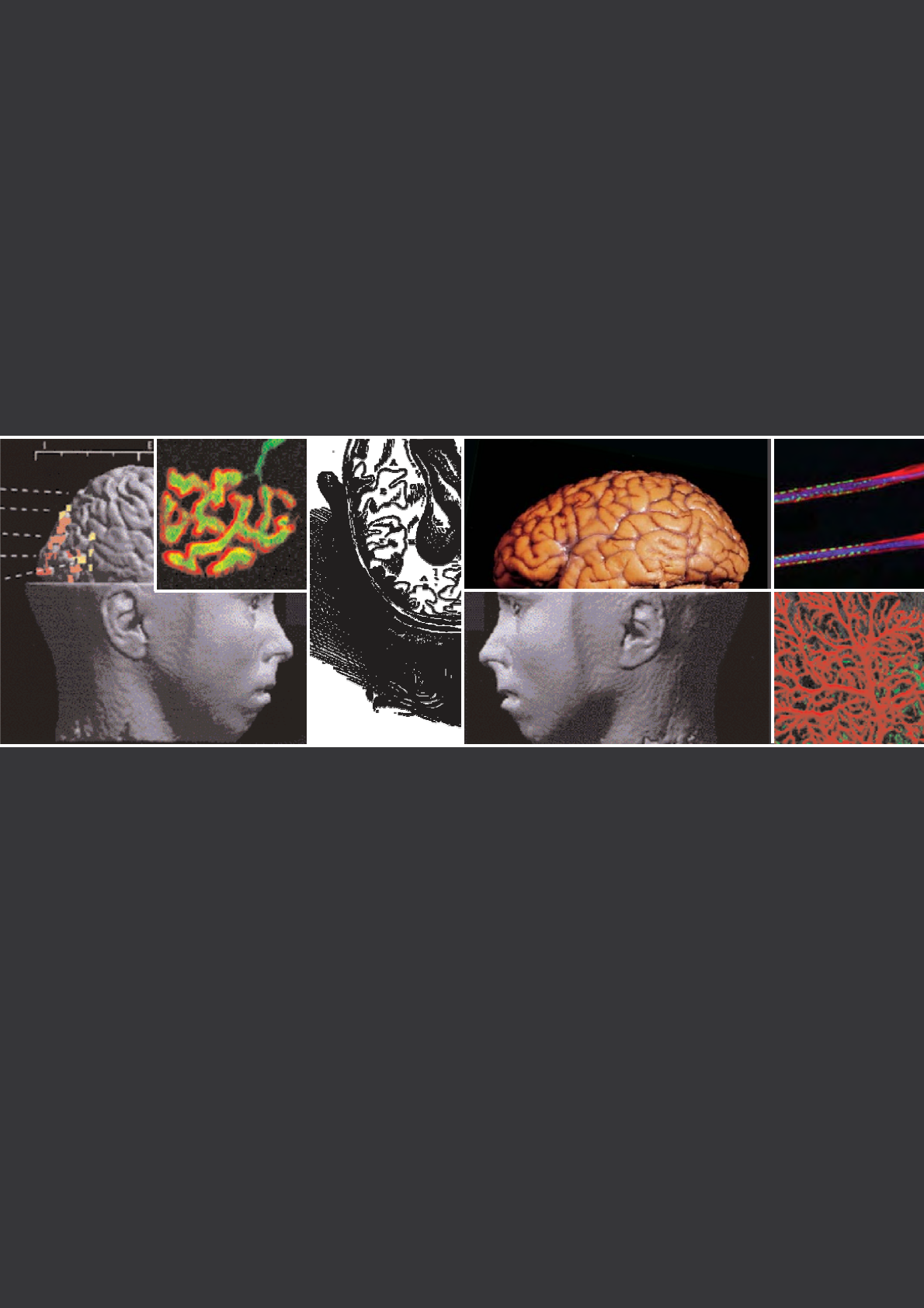 O-cérebro-leitor-Maryanne-Wolf 1 | PDF | Pensamento | Aprendizado, image size:1190x1684